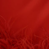 LENA IN PEDRO RED