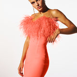 CYNTHIA IN SUGAR CORAL