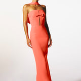 HOLLY IN SUGAR CORAL